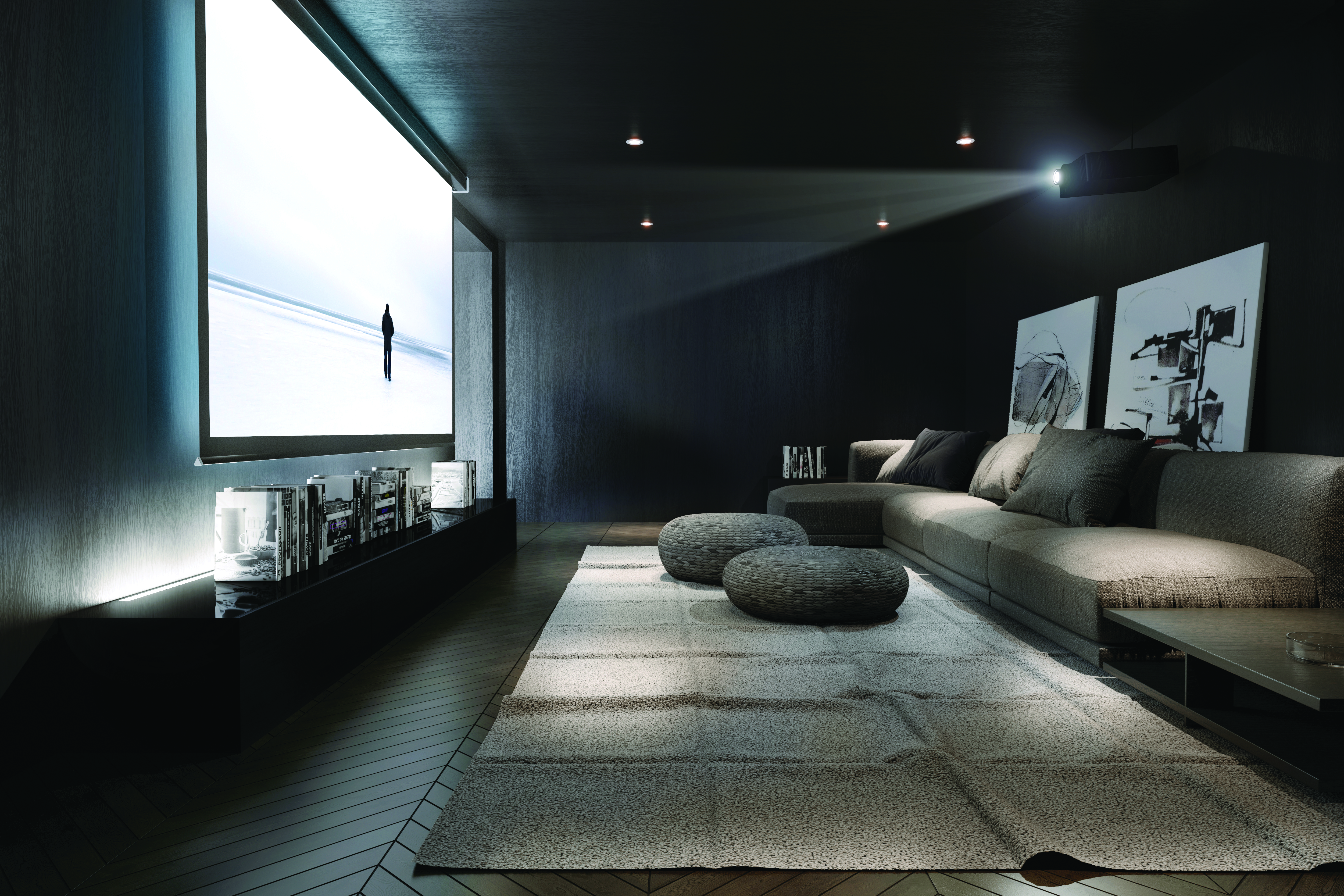 home theater / media room