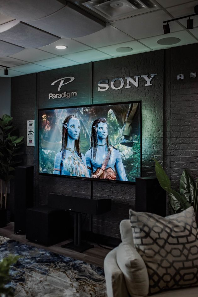 Sony and Paradigm home theater display